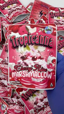 Tropicanna chery marshmallow