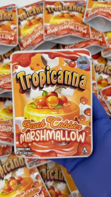 Tropicanna peach cabber marshmallow