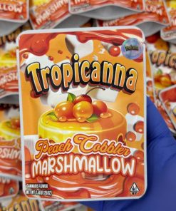 Tropicanna peach cabber marshmallow